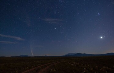 Wall Mural - a spectacular comet (neowise) above a rural prairie