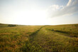 road in a grassy field in the Kansas prairie at sunset