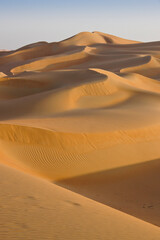  Contours of sand dunes at Liwa, Abu Dhabi, United Arab Emirates