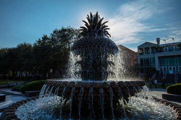 Wall Mural - Charleston, South Carolina, United States, November 2019, the sunrise over Charleston Waterfront park and the Pineapple fountain
