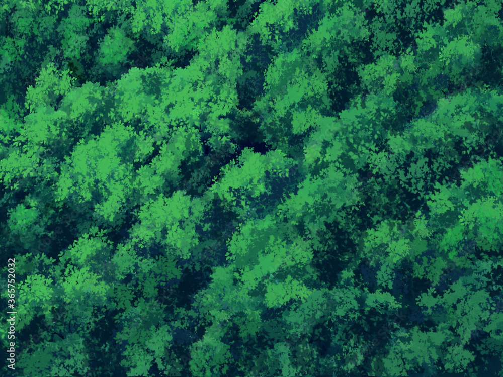 森俯瞰昼 Fototapety 森俯瞰昼 Fototapety