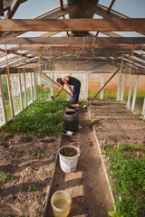 Poster - Young Caucasian rural man watering seedlings in his greenhouse.