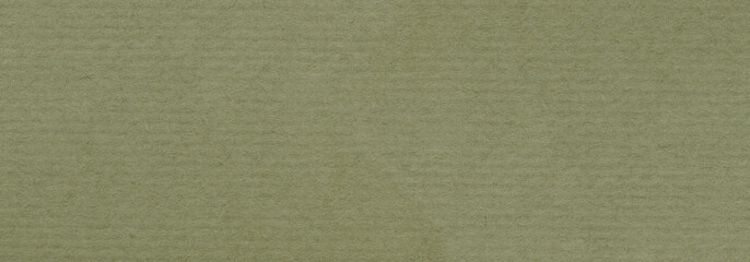 Poster - Olive green paper texture background