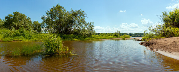 Wall Mural - landscape river summer day. sandy beach sedge small ripples on the water,