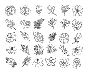 Poster - bundle of beautiful flowers and leafs icons