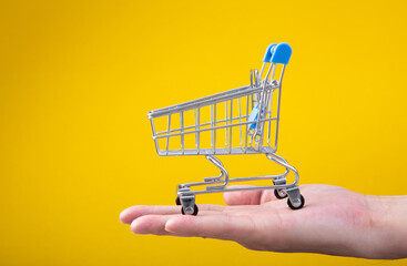  hand with tiny shopping cart.