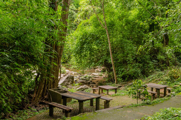 Wooden picnic tables in forest