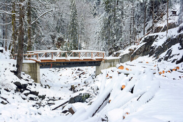 Mountain deforest - winter landscape