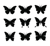 Fototapeta Pokój dzieciecy - Butterfly icons  - vector
