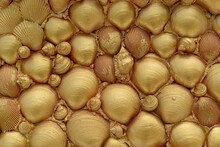Numerous Seashells Were Put On The Wall In The Background And Painted In Beautiful Gold.