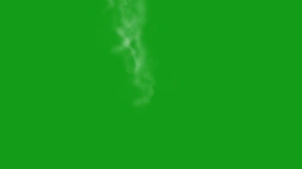 Wall Mural - White smoke motion graphics with green screen background