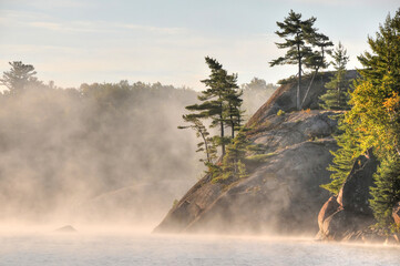 Pine tree growing on rocky shoreline of George Lake and La Cloche mountains  Killarney Park Ontario Canada