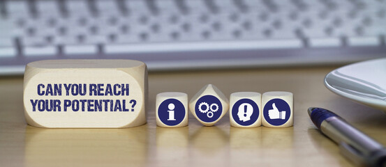 Sticker - Can you reach your potential