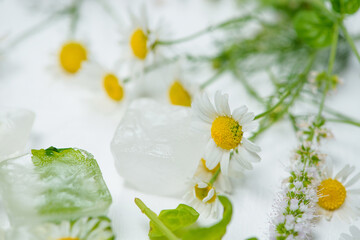 Wall Mural - cosmetic ice cubes with chamomile and mint for home care applies to the face. The concept of skin care. cosmetics with herbs on a light background