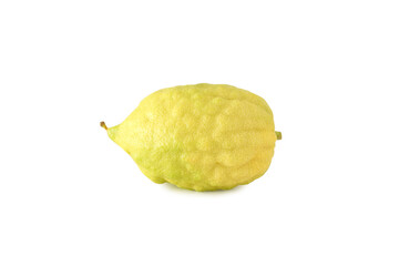 Wall Mural - religion image of Jewish festival of Sukkot. Traditional symbol one of the four species: citron (Etrog). white background