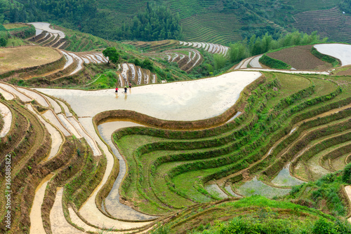 Fotografía Yaoshan Mountain, Guilin, China hillside rice terraces
