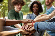 © Roman - mixed race international group of young people gathered outdoors, they holds hands together. friendship concept. make love, not war