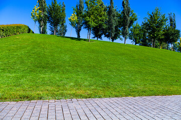 Walkway, lawn and trees in the park