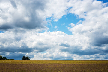 Impressive sky with clouds over a rural landscape before a thunderstorm. 
Germany, Hesse near Kirtorf