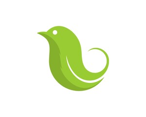 Poster - Green bird with nature leaf