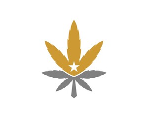 Wall Mural - Cannabis star with gold and silver colors