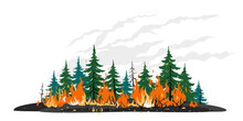 Burning Forest Spruces In Fire Flames Clipart Template, Nature Disaster Concept Isolated Illustration, Poster Danger, Careful With Fires In The Woods