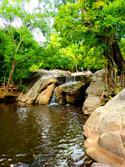 Wall Mural - A tranquil pond with waterfall and rocks under green leaves