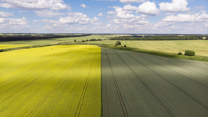 Ryazan land with a bird's eye view