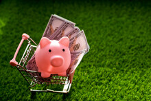 Trolley With Piggy Bank Piggy And Cash Dollars On A Background Of Green Grass. Concept Of Summer Shopping Or Money Saving