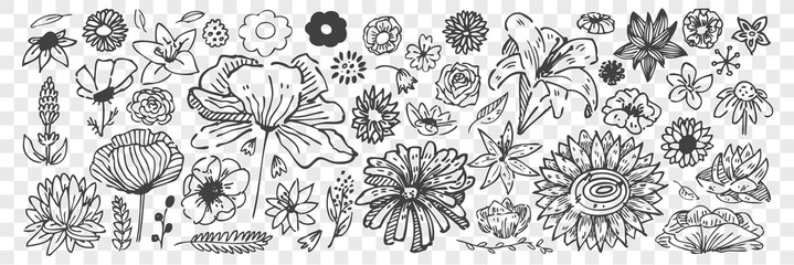 Hand drawn flowers doodle set.