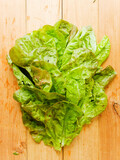 Fototapeta Kuchnia - Baby green lettuce