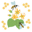 Set of bees, honeycomb, linden flowers. Beekeeping collection. Vector illustration