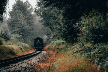 Steam engine locomotive train ride on narrow gauge track on rain forest