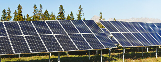 Wall Mural - solar panel collectors in forest, coniferous trees and mountains background, clear sky above, closeu