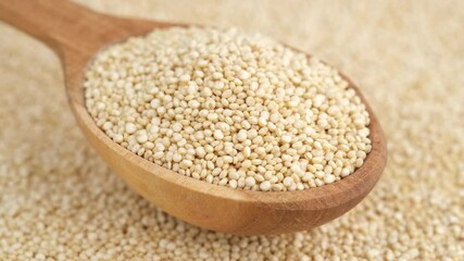 Sticker - quinoa seeds in wooden spoon and on background rotating, top view