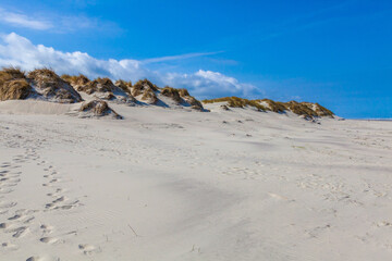 Beach, dunes and sea at Ameland