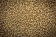 © annebel146 - leopard skin background texture, real fur retro design, close-up wild animail hair modern