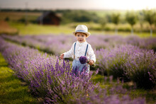 Little Boy Walking On A Lavender Field. In A Stylish Hat.