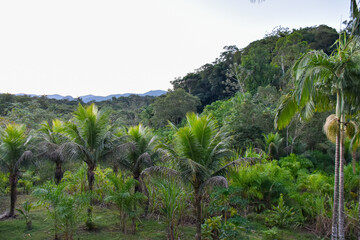  paisagem da reserva e a serra de fundo.