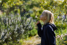 Girl In Allotment Garden Blowing A Blowball
