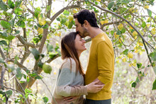 Loving Man Kissing On Girlfriend's Forehead While Standing By Lemon Tree In Farm