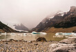 © Westend61 - Argentina, Ice floating near rocky shore in Patagonia