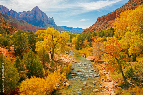 The Virgin River in Zion National Park during the fal season.  Trees showing fall colors line the river.