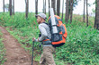 © AungMyo - Young man using hiking with backpack walking on a forest path