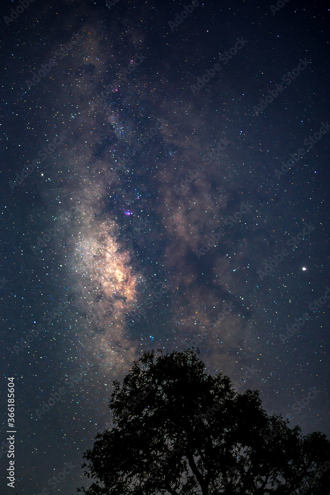 vertical milky way in the starry night sky with moon behind silhouette ...