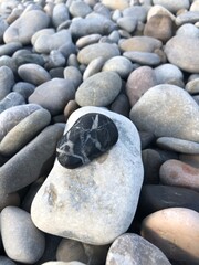 stones on the beach