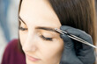 © Parilov - Brow correction master tweezers depilation of eyebrow hair in women