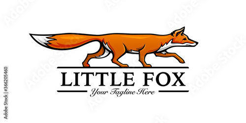 Fotomural Little fox logo template design. Vector illustration.