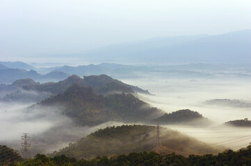 Wall Mural - fog in winter