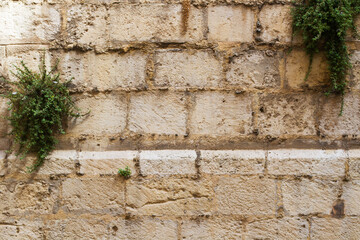 Wall Mural - Textura fondo muro de piedra viejo